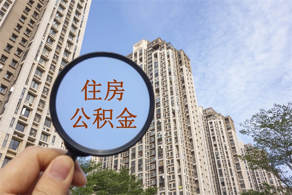 临邑深圳公积金（深圳公积金首页）